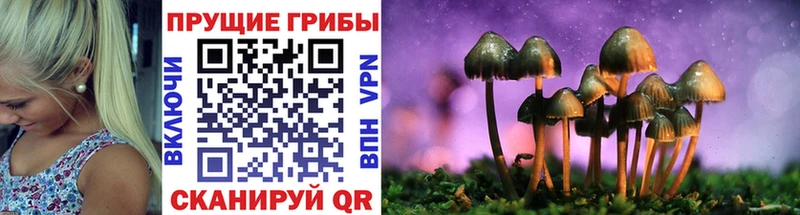 Галлюциногенные грибы Psilocybe  KRAKEN вход  Палласовка 